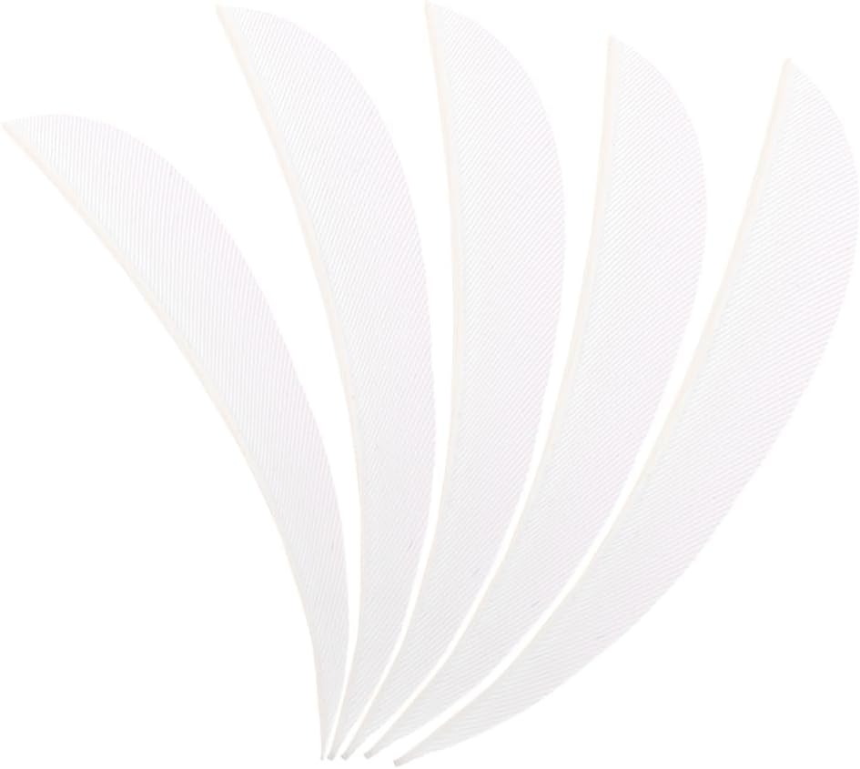 ZSHJGJR Archery Arrow Feathers 3 Inch 4Inch 5 Inch Turkey Feathers Fletchings Arrow Feathers Fletches Right Wing for DIY Hunting Arrows 50PCS