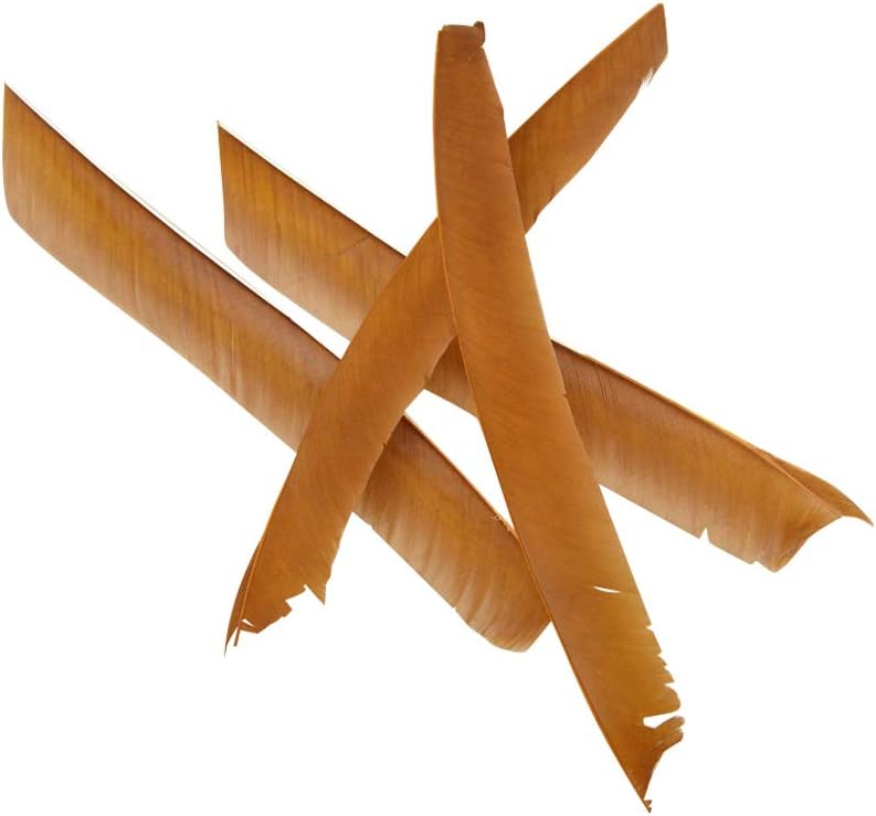 ZSHJGJR 50 Pack Archery Arrow Spiral Twist Wrap Full Length Feathers Left Wing Feathers Fletches Fletching (8-11inch) for Flu-Flu Arrows