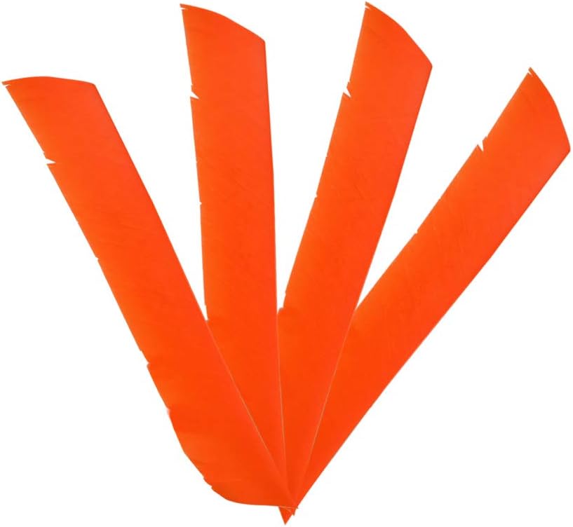 ZSHJGJR 50 Pack Archery Arrow Spiral Twist Wrap Full Length Feathers Left Wing Feathers Fletches Fletching (8-11inch) for Flu-Flu Arrows