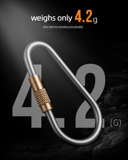 Locking Carabiner Keychain, FEGVE Small Titanium Carabiner Clip with 2pcs/1 inch/25mm Titanium Key Ring, Lightweight and Durable-1pcs