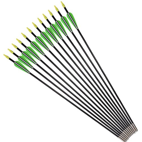 Fiberglass Practice Arrows Archery 24 Inch Target Shooting Safety Recurve Bows Suitable for Youth Children Woman Beginner 12 PCS