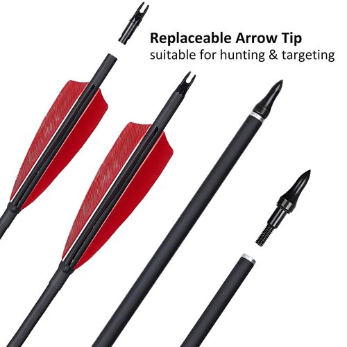 Luoyer 12 Pcs Archery Carbon Arrows with Feathers Removable Tips 30inch Hunting Arrows for Recurve Bow Longbow Compound Bow for Adults Targeting Practice