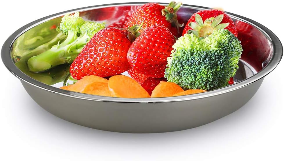 Morcte Stainless Steel Round Plates Dish Set for Dinner Plate, Outdoor Camping, BBQ, Set of 4