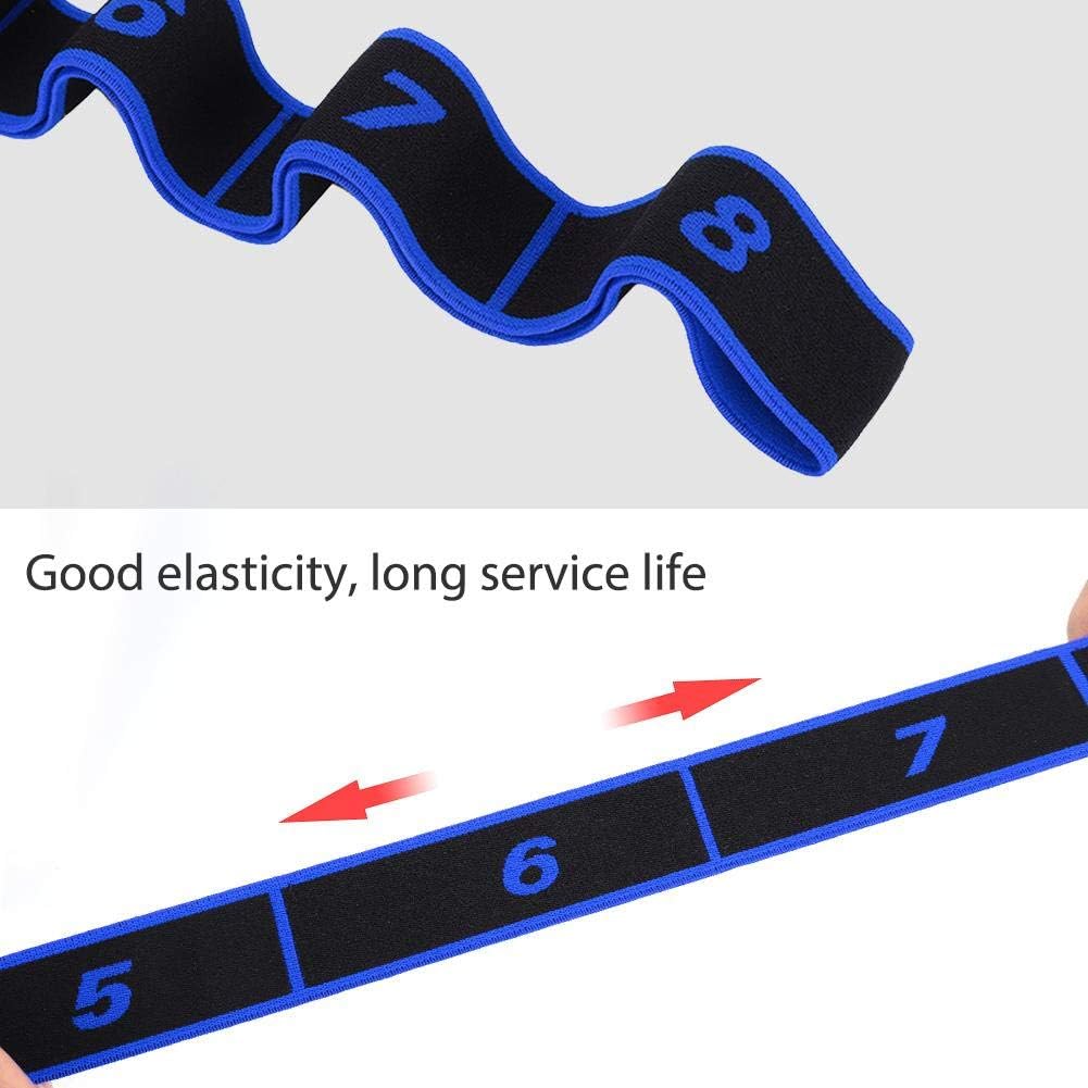 Stretch Band, 8 Loops Elastic Exercise Band for Ballet Dance Gymnastics Training(Blue)