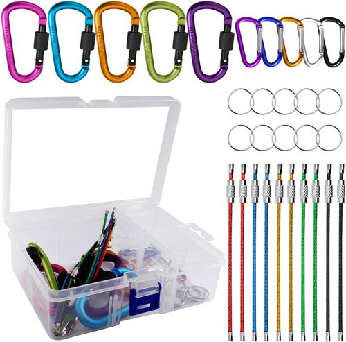 10 Pack Aluminum D-Ring Carabiners, YuCool D Shape Keychain Clips Hook Spring-Loaded for Camping Hiking Fishing, Locking Carabiner,Caribiniers 10 Key Rings - Multi-Color
