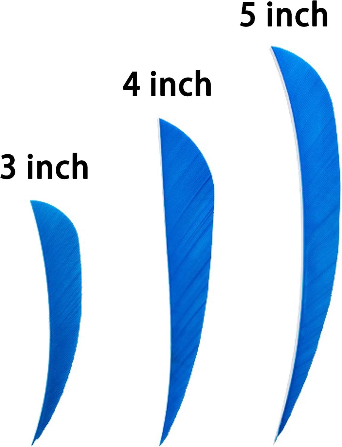 ZSHJGJR Archery Arrow Feathers 3 Inch 4Inch 5 Inch Turkey Feathers Fletchings Arrow Feathers Fletches Right Wing for DIY Hunting Arrows 50PCS