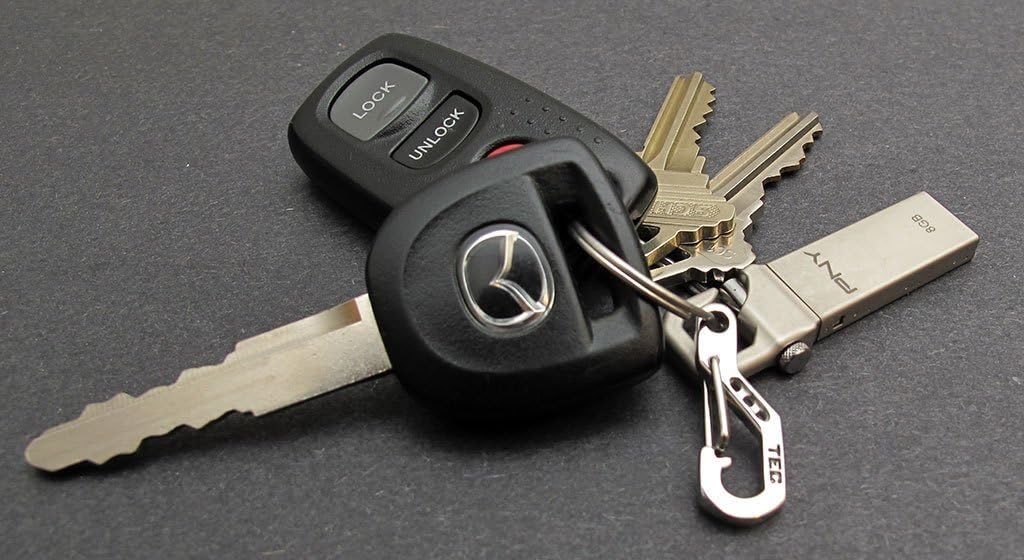 Python Clip - Stainless Steel - Gate Clip - Everyday Carry - Keychain Accessory