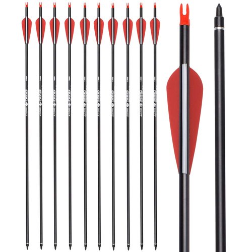 Archery Carbon Arrow Hunting Target Practice Arrows 26 Inch with Removable Tips for Compound & Recurve Bow 500 Spine 6PCS