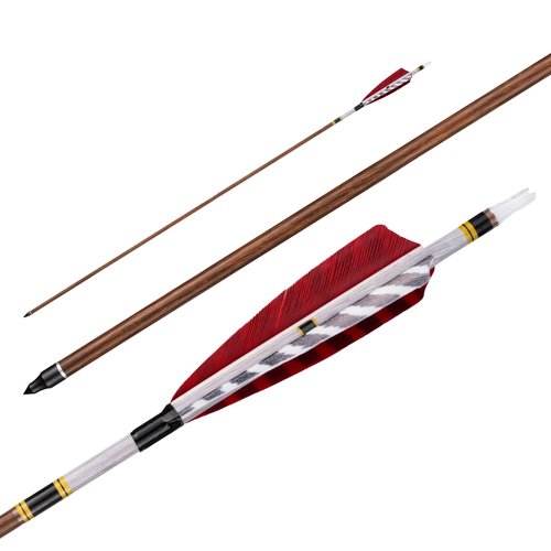 Deerseeker Outdoor Carbon Arrows 32" Hunting Arrow with 4" Turkey Feather for Compound Bows Recurve Bow Traditional Bow with Removable Tips Spine 500/600/700/800 12 Pack (RED, 600 Spine)