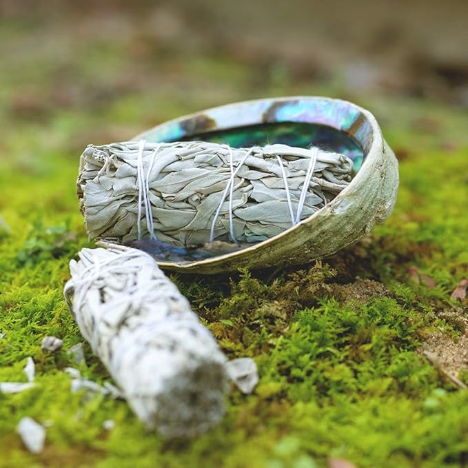 Purple Canyon Authentic Sage Smudge Kit with Abalone Shell for Smudging New Homes & Apartments