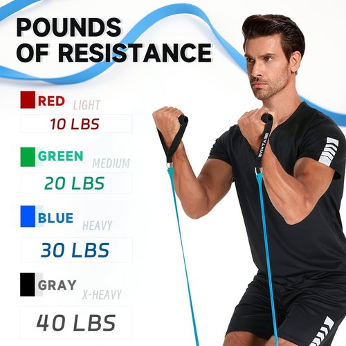 Exercise Bands with Handles, Resistance Bands with Handles, Ideal for Physical Therapy, Strength Training, Muscle Toning - Door Anchor and Starter Guide Included (Red-Light(10lbs))