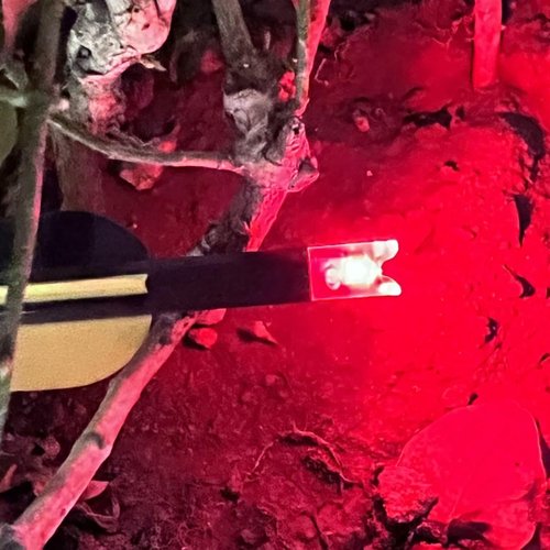 Lighted Nocks for Crossbow Led Illuminated Archery Nocks for Arrows with 7.62mm/.300" Arrow Nocks for Hunting-6 Pack
