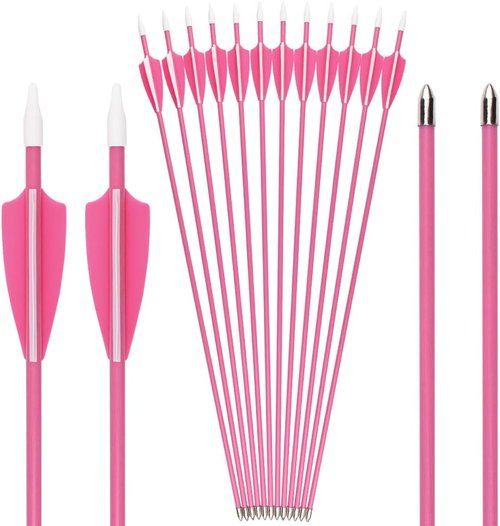 Archery Youth 24 26 Inch Fiberglass Archery Targeting Arrows for Youth Practise Recurvebow Compound Bow Shooting