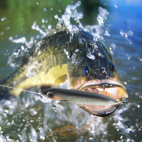 PROBEROS Catfish Rattling Line Float Lure for Catfishing - Catfish Spook Rattle Fishing Floats Peg for Santee Rig Catfish Fishing - 4 Inch(6-Pack)