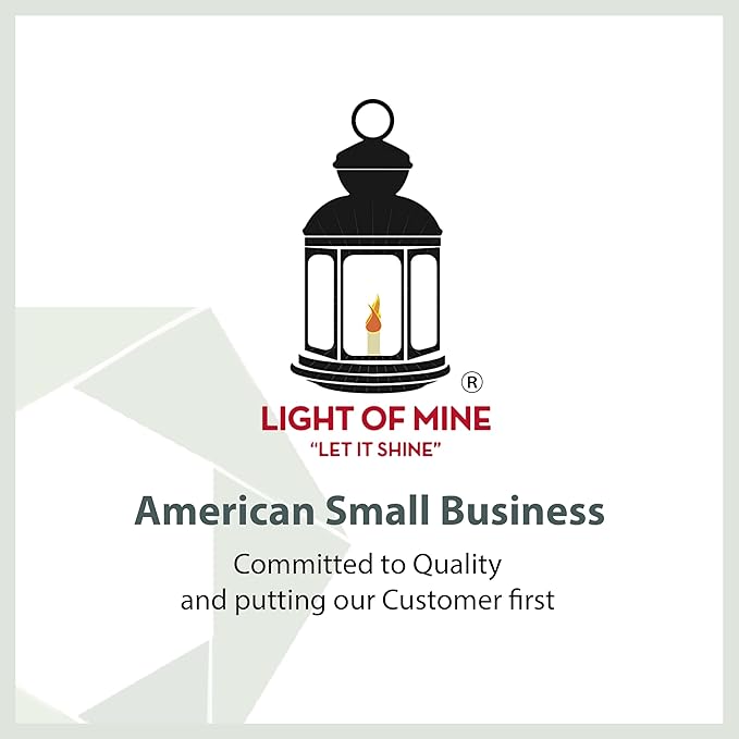 Light of Mine - Dietz #76 Original Red Oil Lantern with 1/2" Replacement Wick Strips (Red)