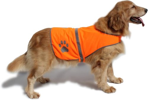 Dog Reflective Vest High Visibility Safety Jacket for Walking Running Hiking to Keep Dogs Visible Safe from Cars and Hunting Accidents Orange XXL