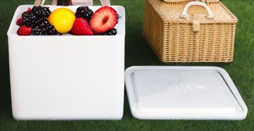 Robin II EPS Foam Ice Chest (Outside Dimensions: 24.5”x14.5”x15.75”) with Shipping Box - 1 Pack. Protective, Thermal, Insulated, Biodegradable, Recyclable, Shipping/Storage, White, 208-001/002