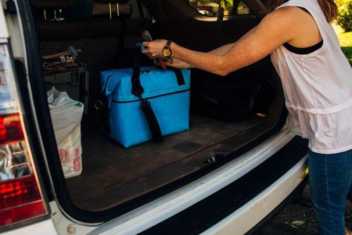 Bison Coolers Softpak Series, Made in USA, Soft Cooler Bag Insulated Leak Proof for Beach, Travel, Camping, Picnic, Car, Trips, 24+ Hour Ice Retention