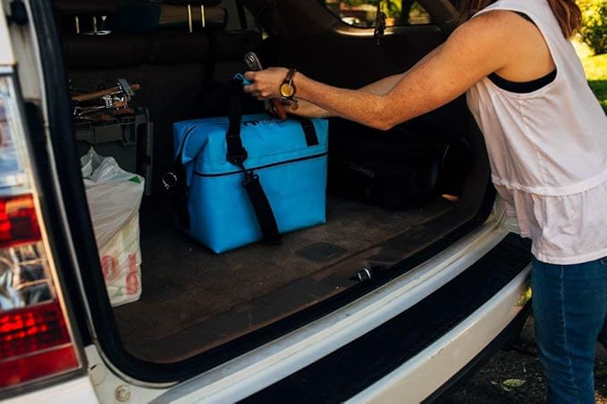 Bison Coolers Softpak Series, Made in USA, Soft Cooler Bag Insulated Leak Proof for Beach, Travel, Camping, Picnic, Car, Trips, 24+ Hour Ice Retention