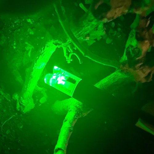 CosiComu Lighted Nocks for Crossbow with .300 Inside Diameter with ON/Off Switch Arrow nocks for Archery Hunting 6 Pack (Green)