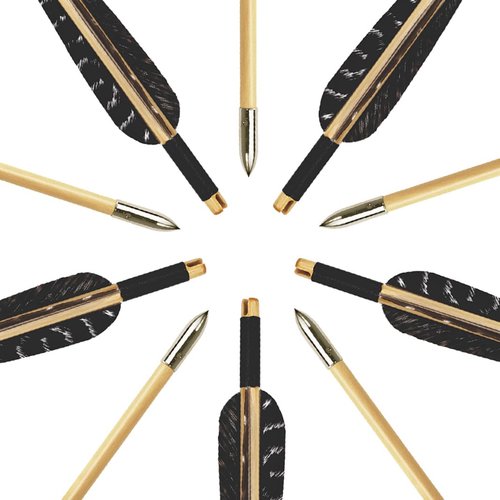 Luoyer 12 Pcs Archery Wooden Arrows with Feathers Handmade Targeting Arrows for Traditional Bow Recurve Bow Longbow for Adults 31inch (Nature)