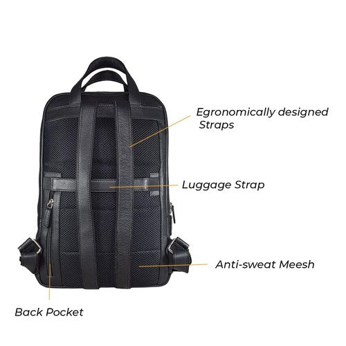 Generic Wild Woods Black Light Weight Back pack, Large