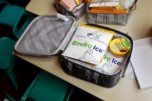 ENVIRO ICE ™ Non Toxic Ice Packs-2 Pack(32oz) Reusable for Coolers, Food Shipping, Lunch Boxes, and Medicine Shipping