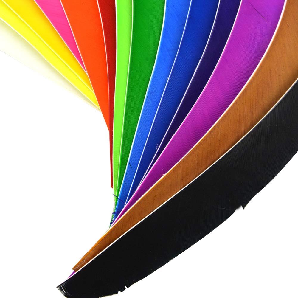 ZSHJGJR 50 Pack Archery Arrow Spiral Twist Wrap Full Length Feathers Left Wing Feathers Fletches Fletching (8-11inch) for Flu-Flu Arrows