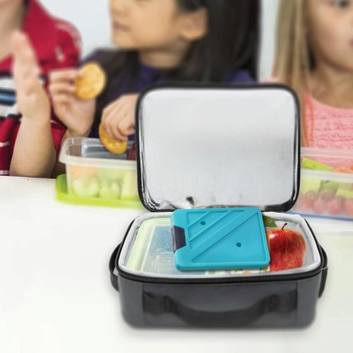 Pinnacle Ice Blocks for Cooler Set of 2 – Multipurpose Ice Packs for Coolers Long Lasting Reusable Refreezable –No Leak Lunch Box Ice Pack – Non BPA Food Safe Freezer Packs for Coolers