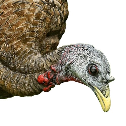 AVIAN-X LCD Feeder Hen AVX8007 & Breeder Hen AVX8008 Turkey Decoys | Realistic Lifelike Collapsible Standing Hunting Decoys with Carry Bag & Stake