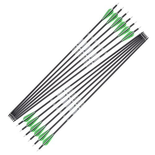Archery Bow Carbon Arrow Hunting Target Practice Arrows 28 Inch with Removable Tips for Compound & Recurve Bow Spine 500 6PCS Pack
