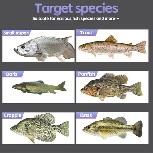 SINGMATOOLS Fast Snap on Swing Head Weight Dropshot Sinkers Jigheads for Weedless Jig Heads Fishing jig Swimbait jig Head w/o Hooks Offset Worm Hooks for Bass Fishing 1/2 1/4 4/6 1/8 3/8 3/16 1 OZ
