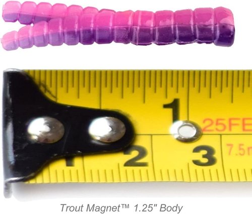 Leland's Lures Trout Magnet 50-Pack Split-Tail Grub Body Pack, Also Great for Bass and Panfish, Purple Haze