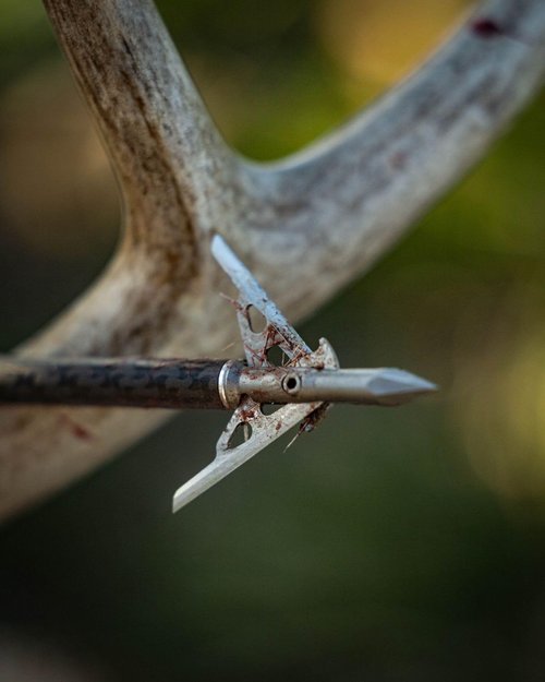 G5 T2 100-Grain 2-Blade Expandable Broadheads, 3-Pack | Durable Steel Archery Broadheads with Large 2" Cutting Diameter & Socket-Lock Retention System