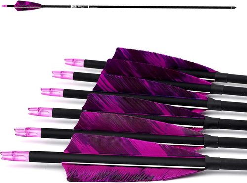 31-Inch Carbon Arrows Target Practice Hunting Arrow with 4" Shield Fletching spine 500 Arrows for Recurve Bow LongBow Compound Bow(Pack of 6)
