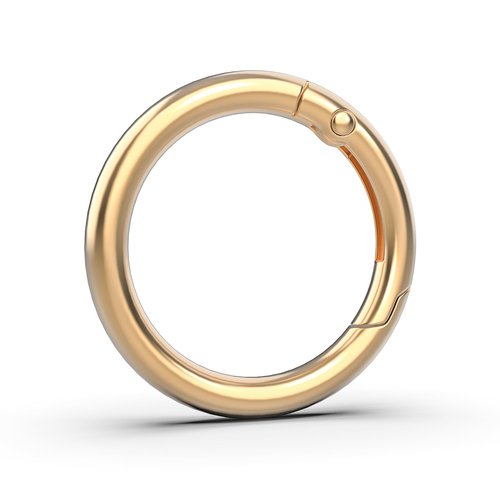 XIECHANEE Round Key Ring Carabiner Clip for Keys, Buckle, Bags, Purses, 1 Inch Keychain Rings, Set of 12