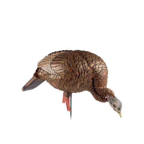 Avian-X HDR Jake Turkey Decoy with 2 Heads & HDR Feeding Hen Turkey Decoy Bundle