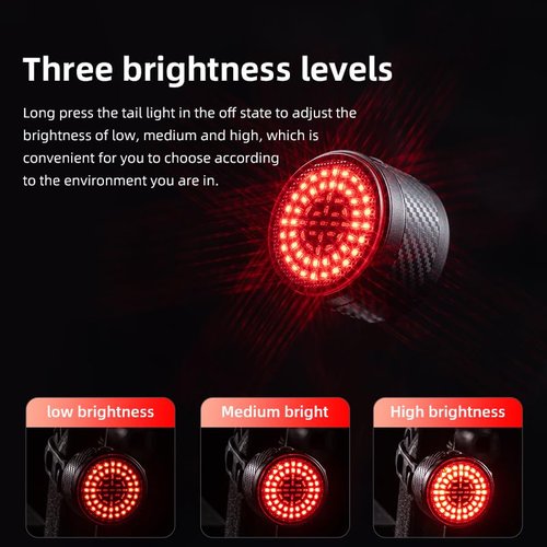 Smart Bike Tail Light with Brake Sensor - 13 LED Patterns Rechargeable Rear Bicycle Light, IPX6 Waterproof Bike Back Light for Night Riding (2 Mounts Included)