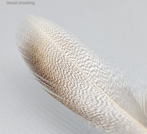 KTGCOZS Pack of 50 Flank Feathers Fly Tying Natural Barred Mallard Duck Flank Feathers Wild Goose Hair Wing