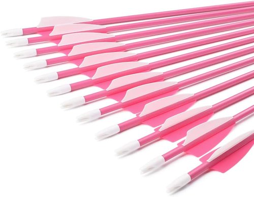 Archery Youth 24 26 Inch Fiberglass Archery Targeting Arrows for Youth Practise Recurvebow Compound Bow Shooting