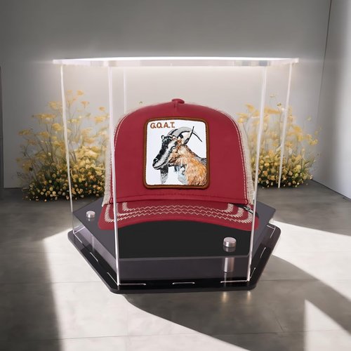 Hat Display Case,Baseball Cap hat Box,Hexagons Clear Acrylic Display Case Baseball or Snapback Caps/Cap of Any Mini (10 inx 8.7 in x 7.9 in)