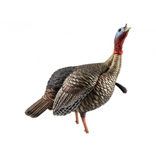 Avian-X HDR Jake Turkey Decoy with 2 Heads & HDR Feeding Hen Turkey Decoy Bundle