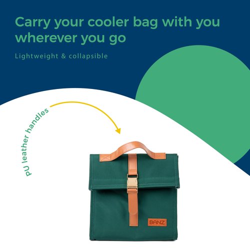Lunch Cooler Bag Dark Green