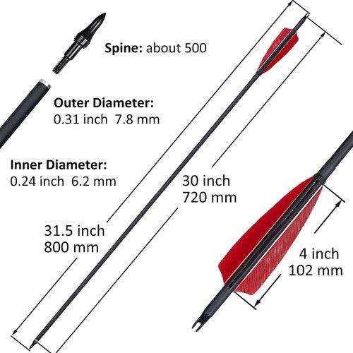 Luoyer 12 Pcs Archery Carbon Arrows with Feathers Removable Tips 30inch Hunting Arrows for Recurve Bow Longbow Compound Bow for Adults Targeting Practice