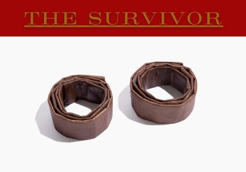 Start Campfires Fast with Zero Effort! The Most Powerful Fire Starter You Will Ever Use. Plant-Based Fuels Only. Light Wet Logs Without Kindling. Patent-Pending. for Camping, Fire Pits, Survival