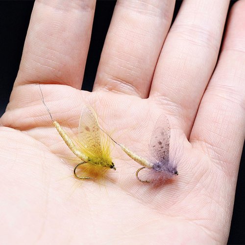 HAINEAO 120pcs Fly Fishing Tying Materials Dry Fly DIY Binding Material Insect Wings Fishing for Trout