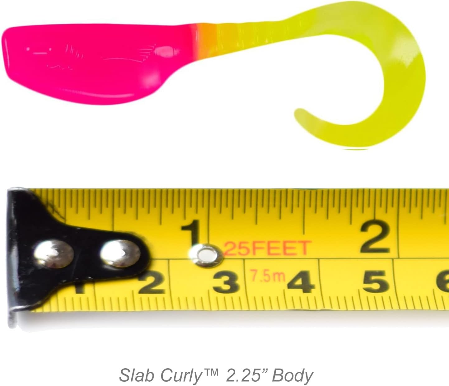 Slab Curly 12-Piece Curly Tail Jig Pack
