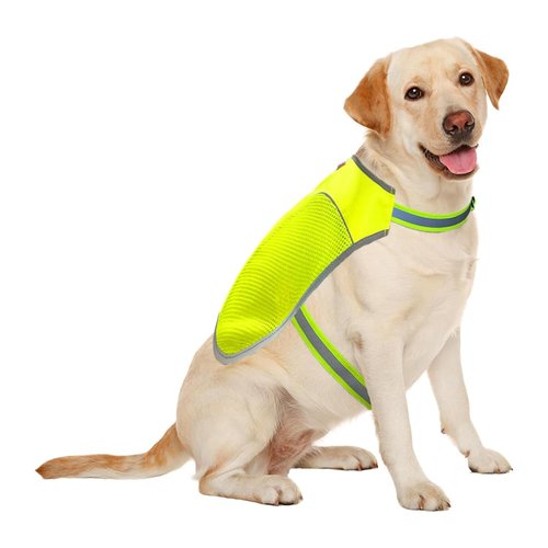 KONG Sport Hiker High Visibility Dog Safety Vest, Reflective Jacket Apparel for Low Light Conditions Outdoors, Walking, and Running, Small Medium and Large Dogs (Small), Neon Green
