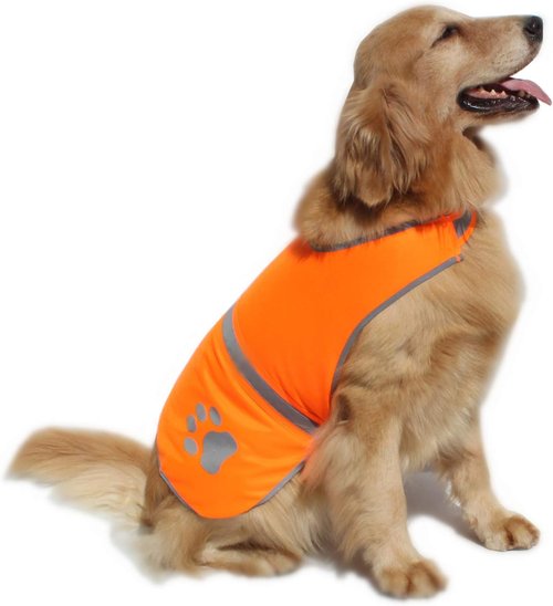 Dog Reflective Vest High Visibility Safety Jacket for Walking Running Hiking to Keep Dogs Visible Safe from Cars and Hunting Accidents Orange XXL