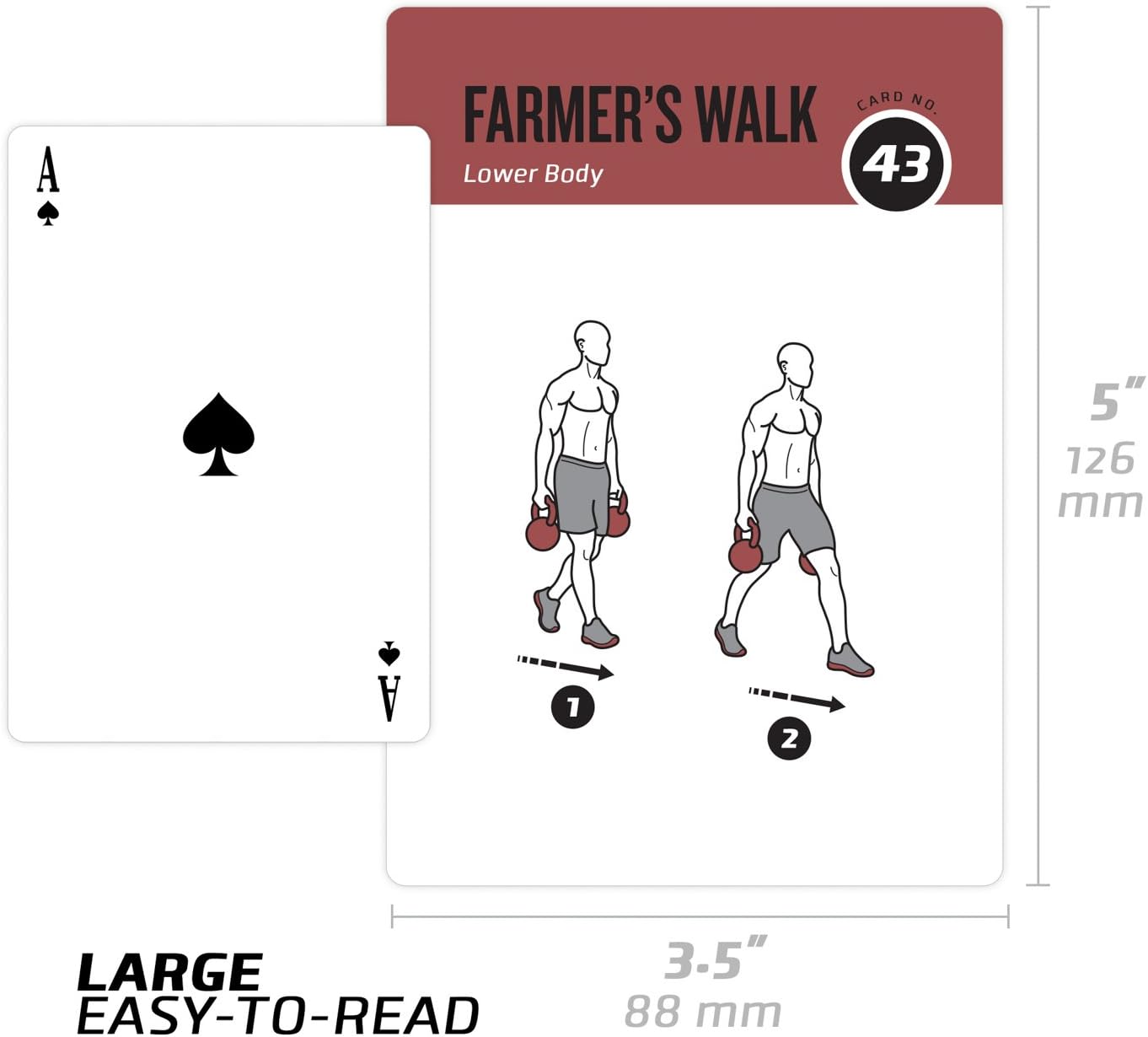 NewMe Fitness Yoga Pose Workout Cards, Instructional Fitness Deck for Women & Men, Beginner Fitness Guide to Training Exercises at Home or Gym